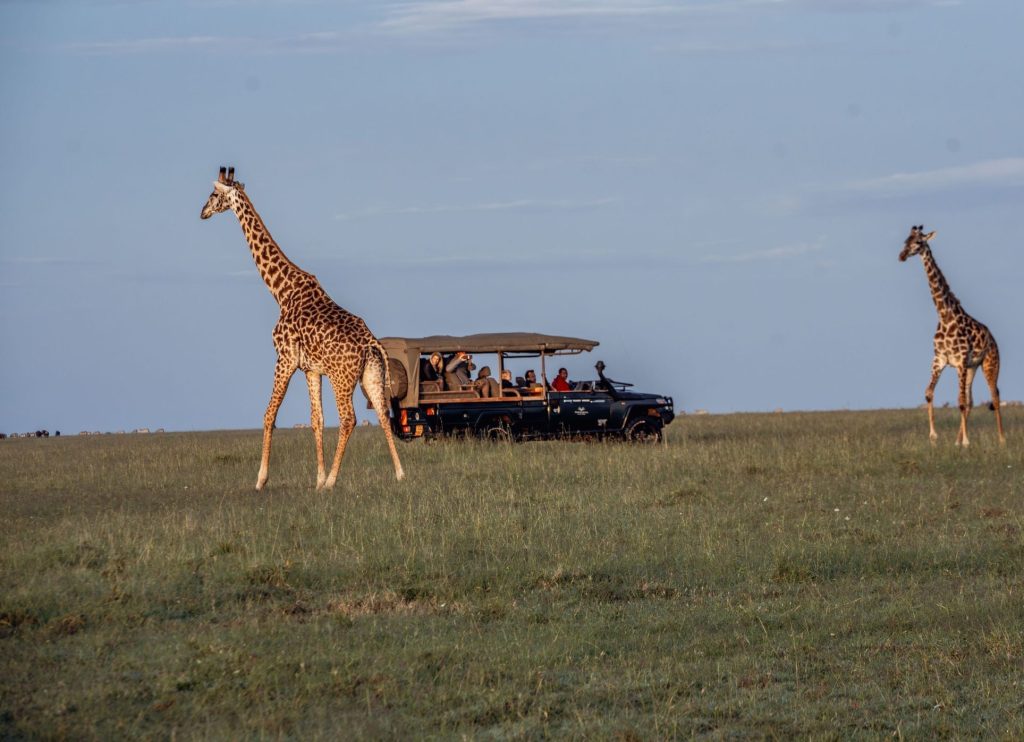 Nairobi – Fly to Mara North Conservancy