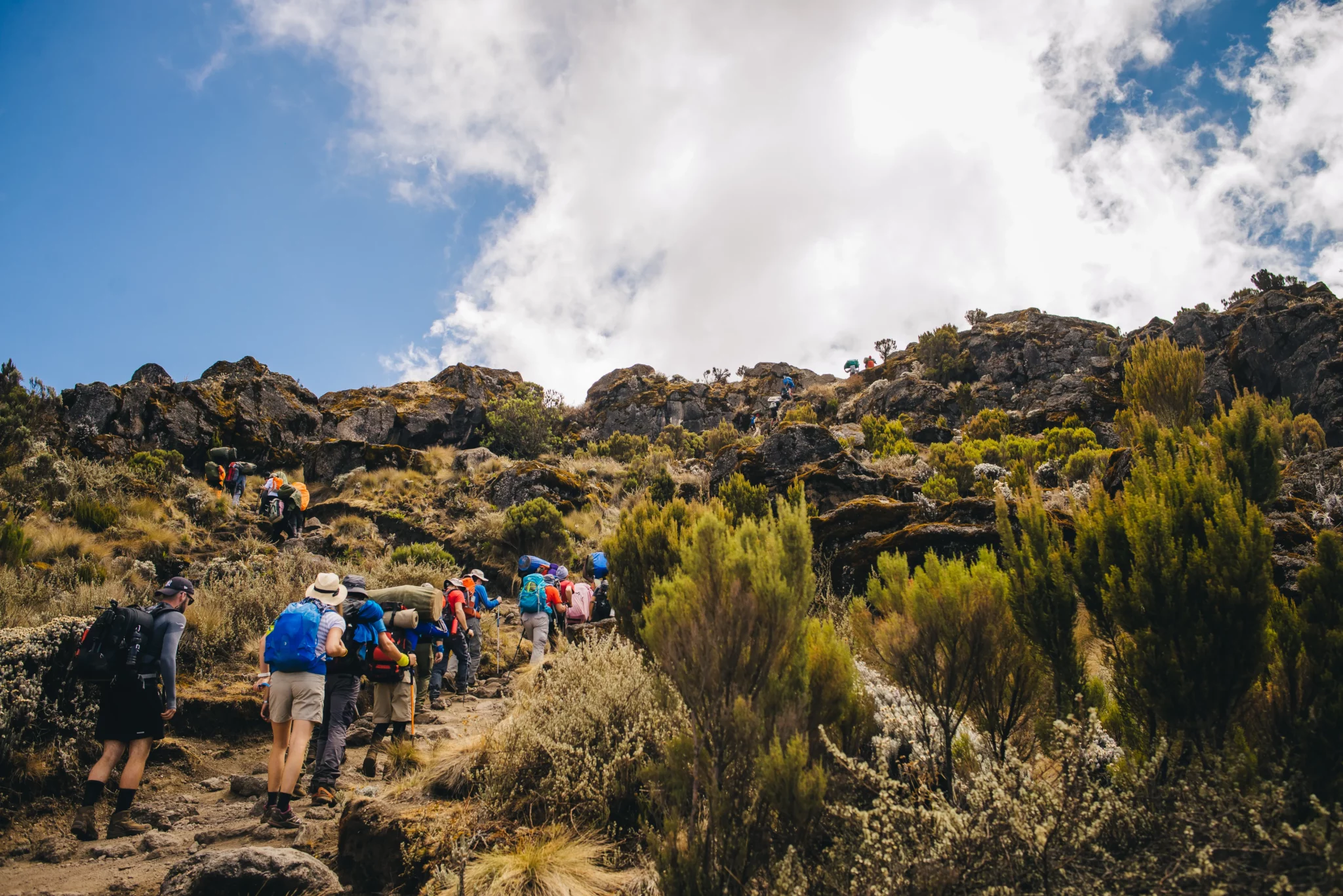 West Kilimanjaro – Guided Hiking and Walking in the Wild