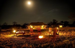 Into Wild Tented Lodge or similar