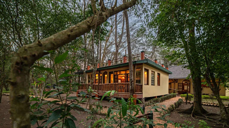 Jungle Lodge Ishasha or Similar