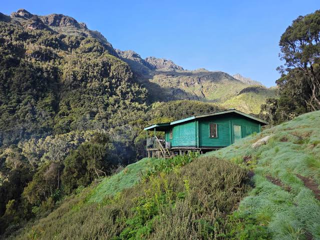 NYABITABA / JOHN MATTE / RUBONI COMMUNITY CAMP