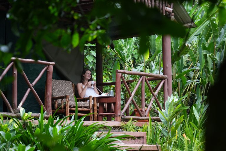 kibale forest camp