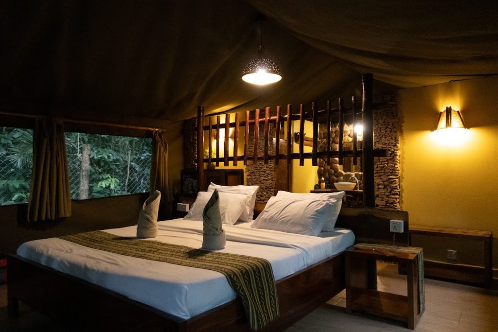 kibale forest camp