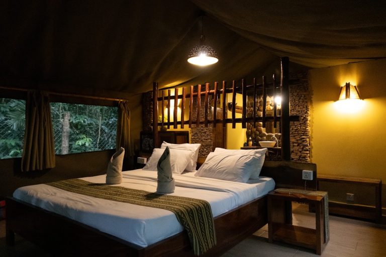 kibale forest camp