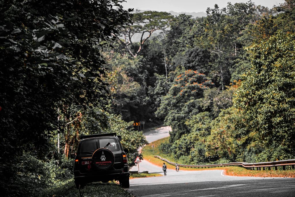  Transfer to Kibale National Park