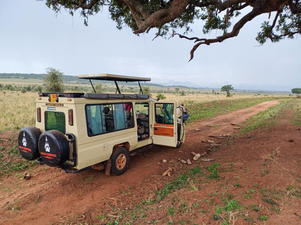 Kidepo Valley National Park – Full-Day Wildlife Safari
