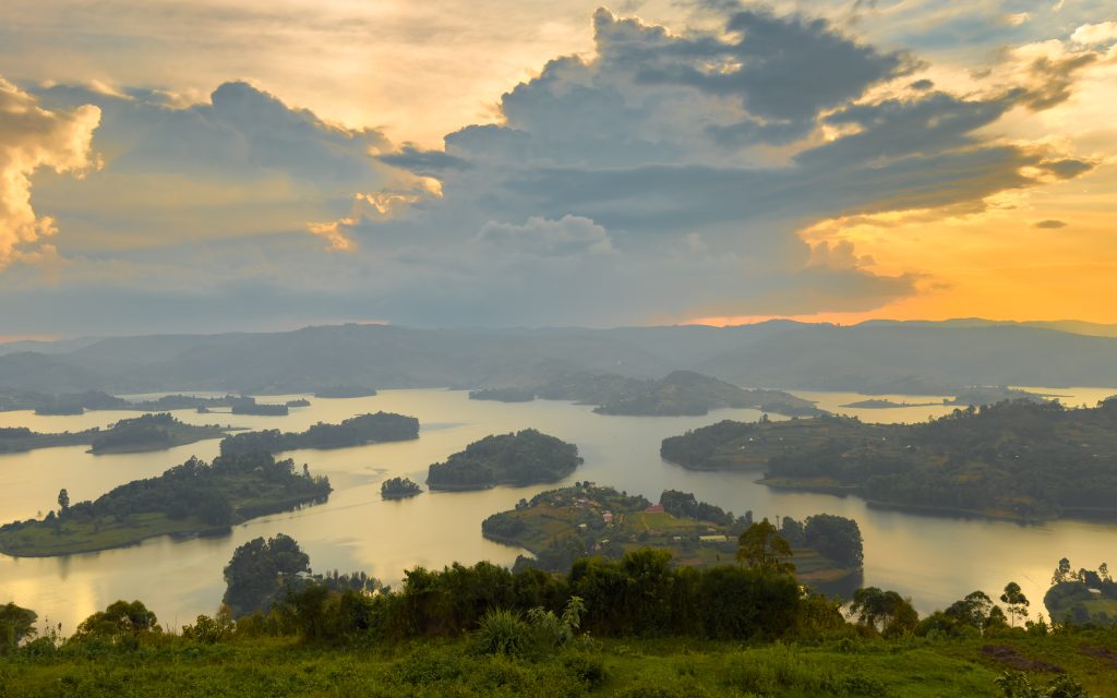Golden Monkey Tracking in Mgahinga and Transfer to Lake Bunyonyi