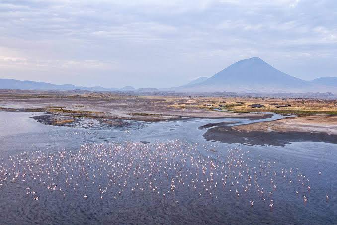 Arusha to Lake Natron and Ngare Sero Waterfalls