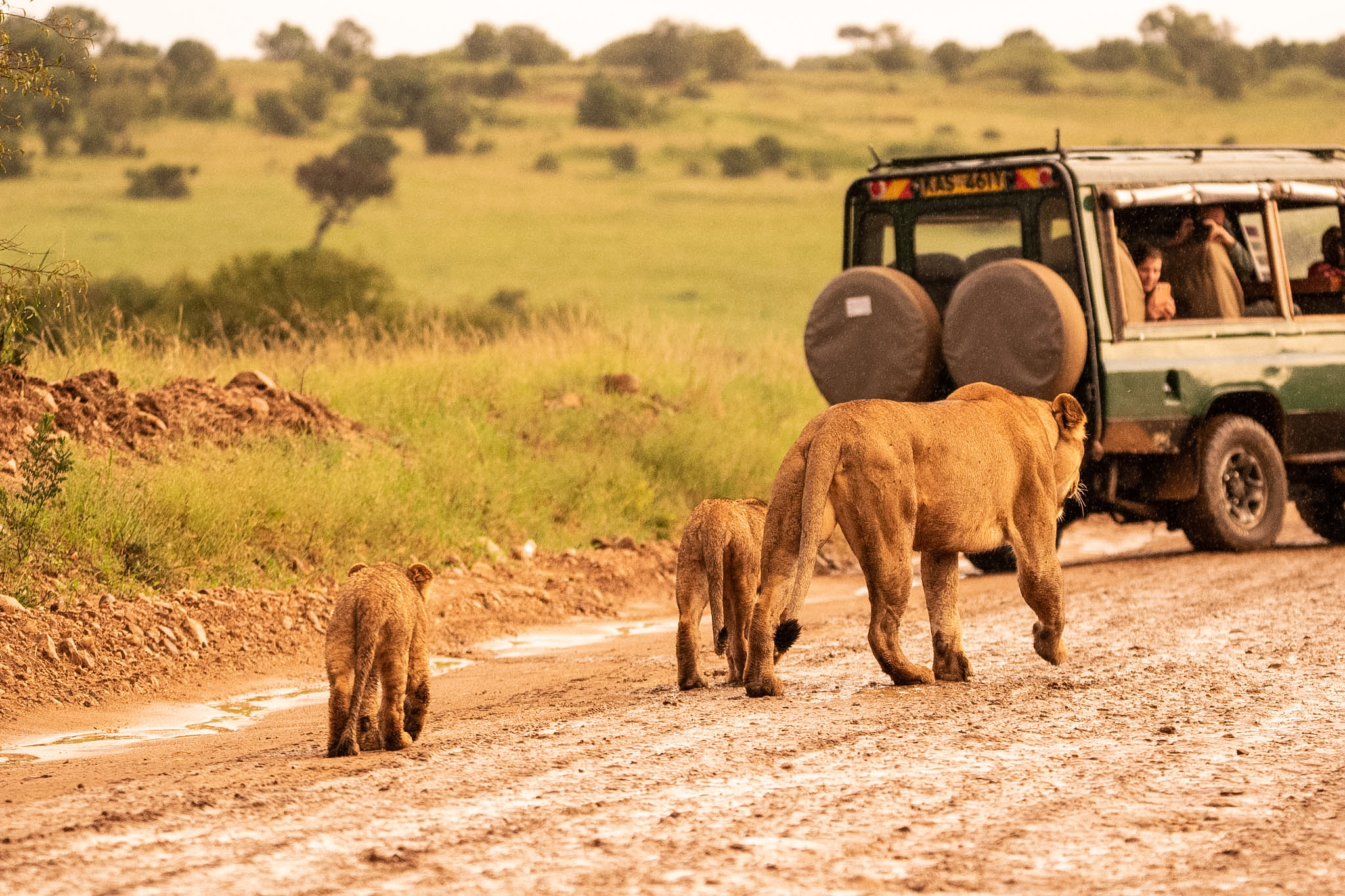 Nairobi to Maasai Mara