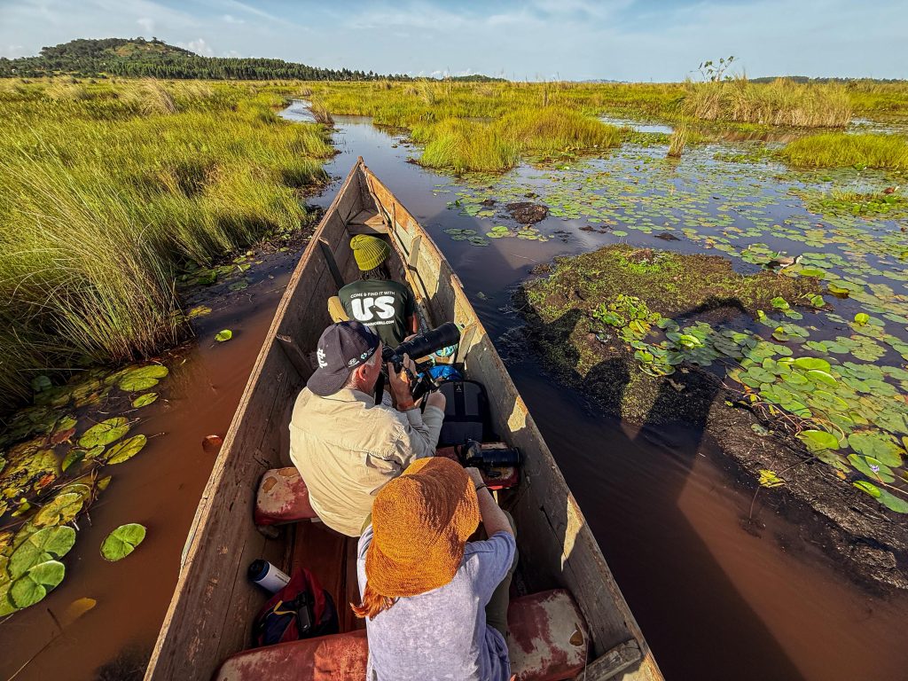 Shoebill search in Mabamba
