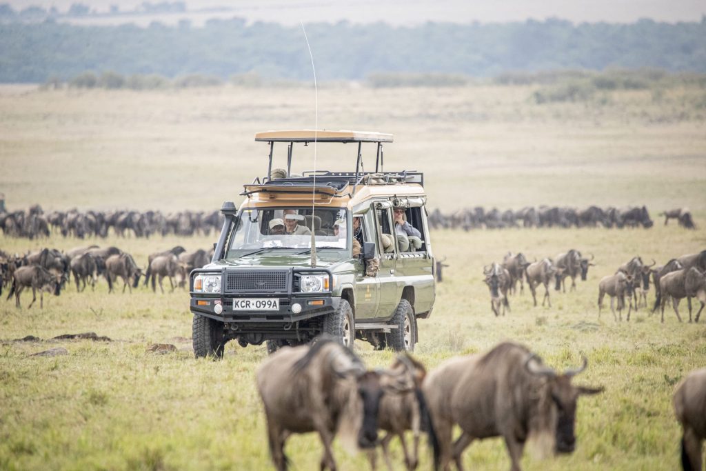 Main Maasai Mara – Big Cats and Open Plains