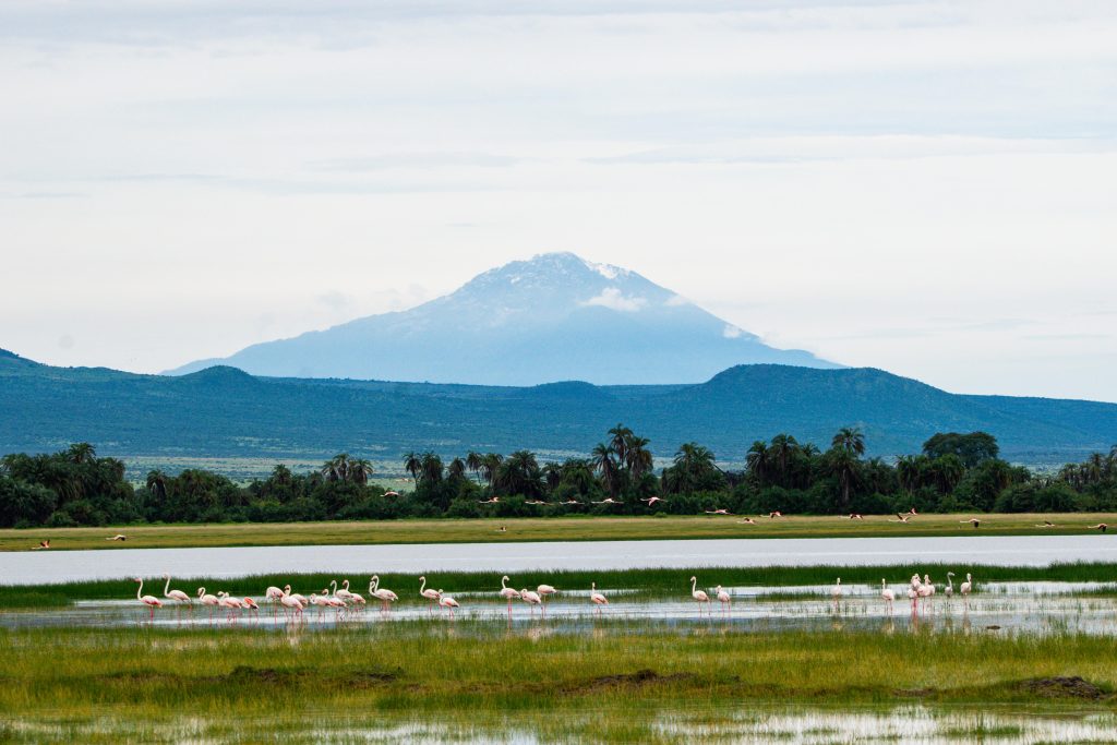  Amboseli – Final Full Day of Photography
