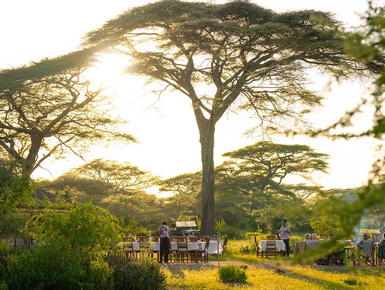Ndutu Safari Lodge