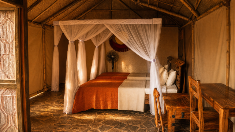 elephant oasis lodge