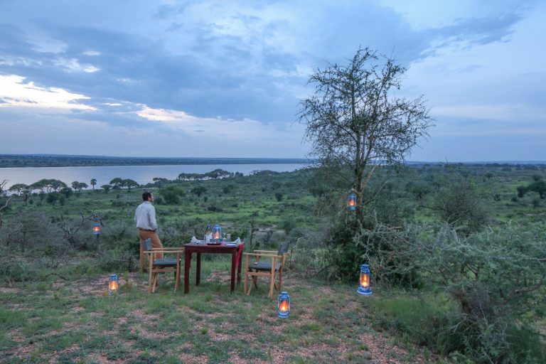 pakuba safari lodge
