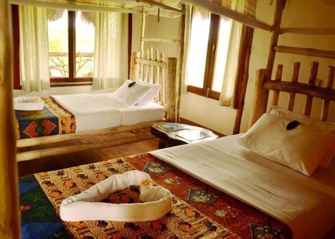 Topi Lodge Ishasha