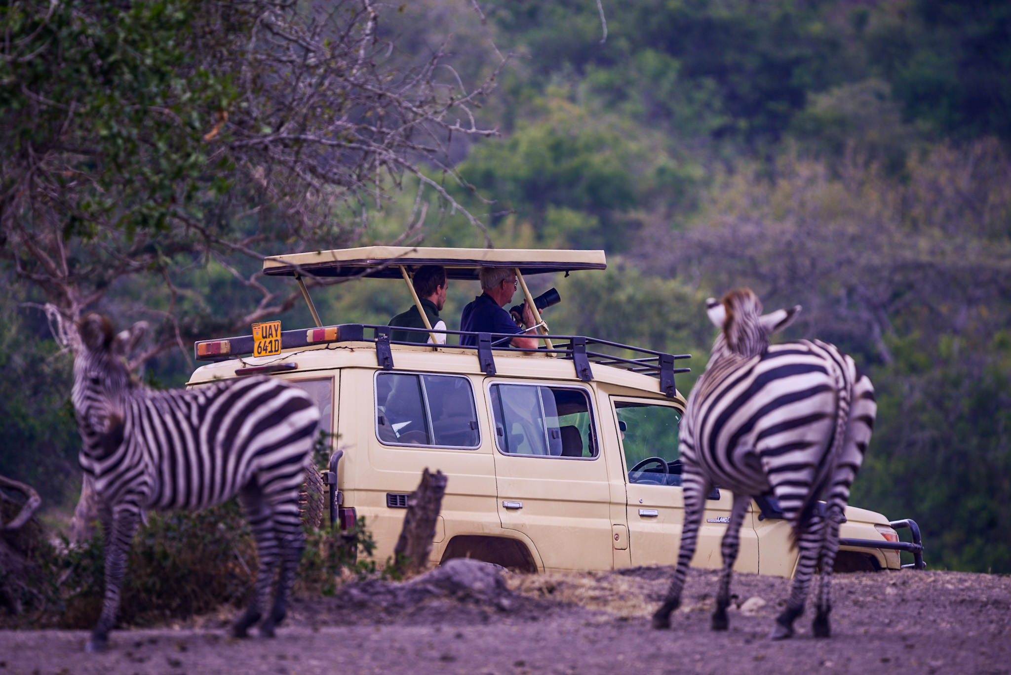 Bwindi – Lake Mburo National Park