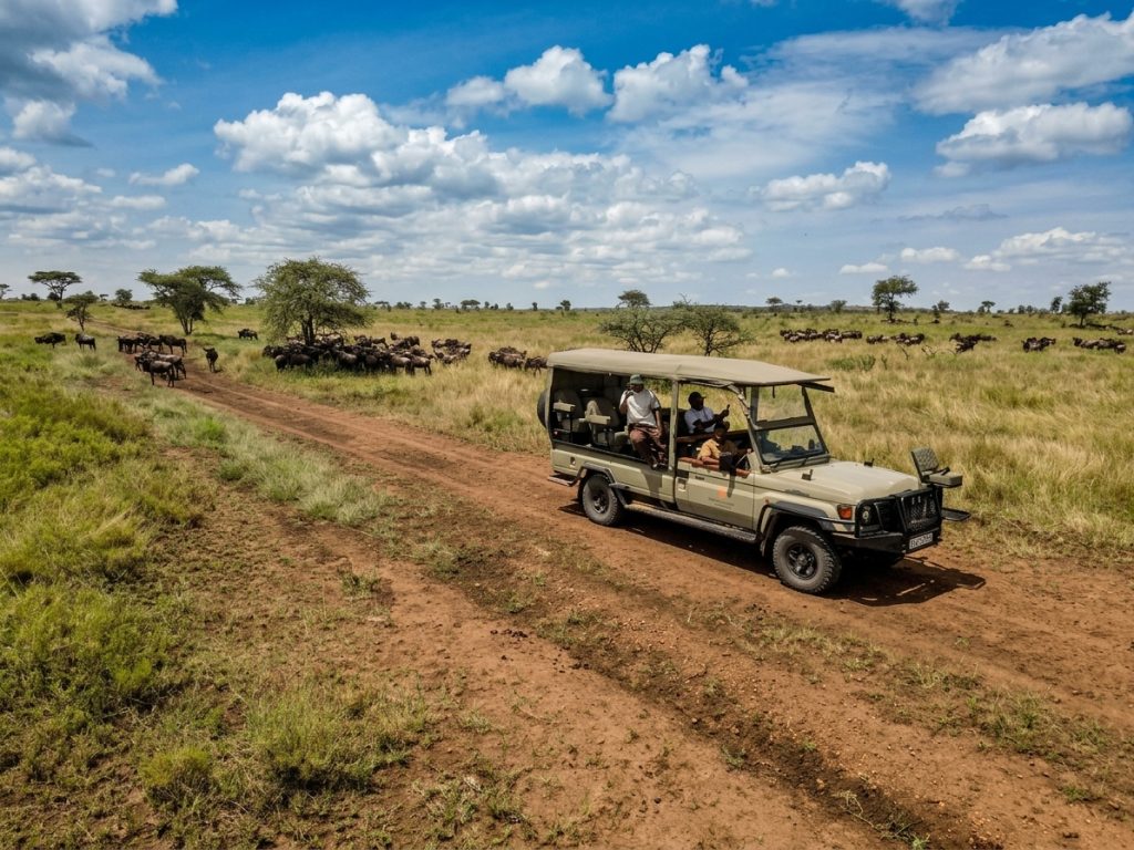 Lake Natron to Northern Serengeti