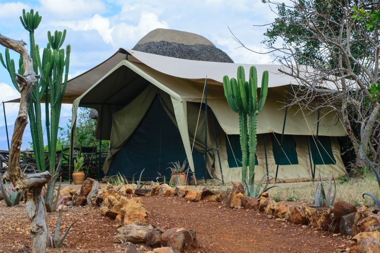 Kidepo Savannah Lodge