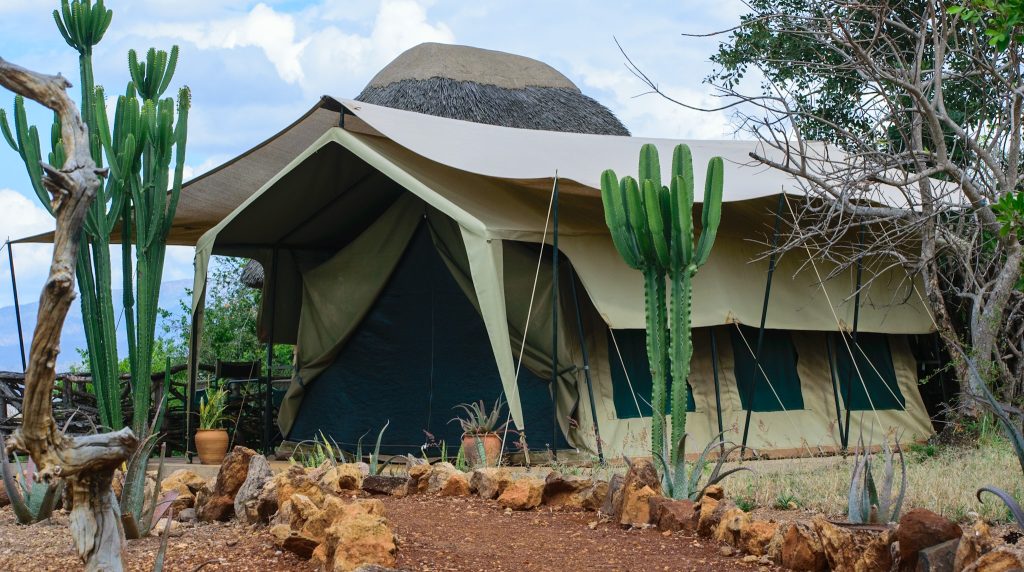 kidepo savanna lodge