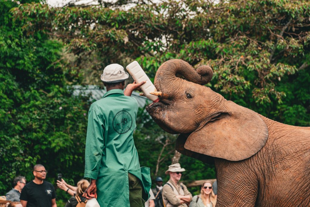 Nairobi Family Experience
