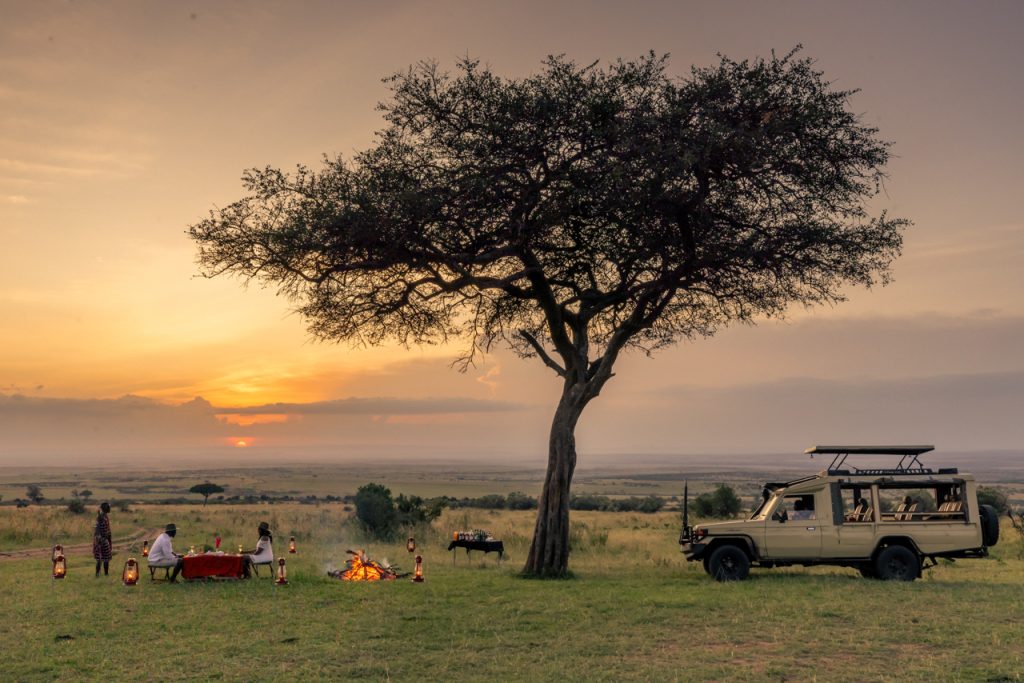  Full-Day Masai Mara Wildlife Exploration