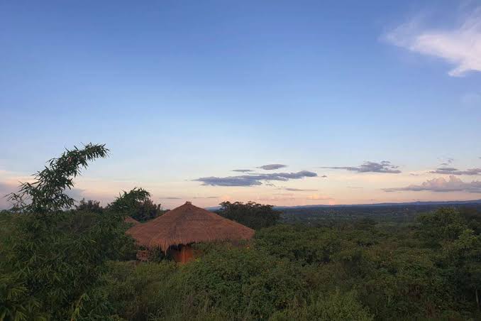Topi Lodge Ishasha