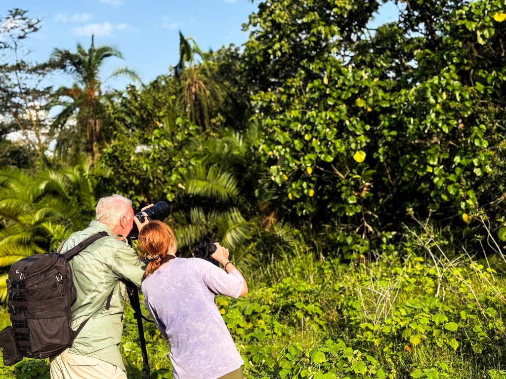 Bigodi Swamp and Community Experience