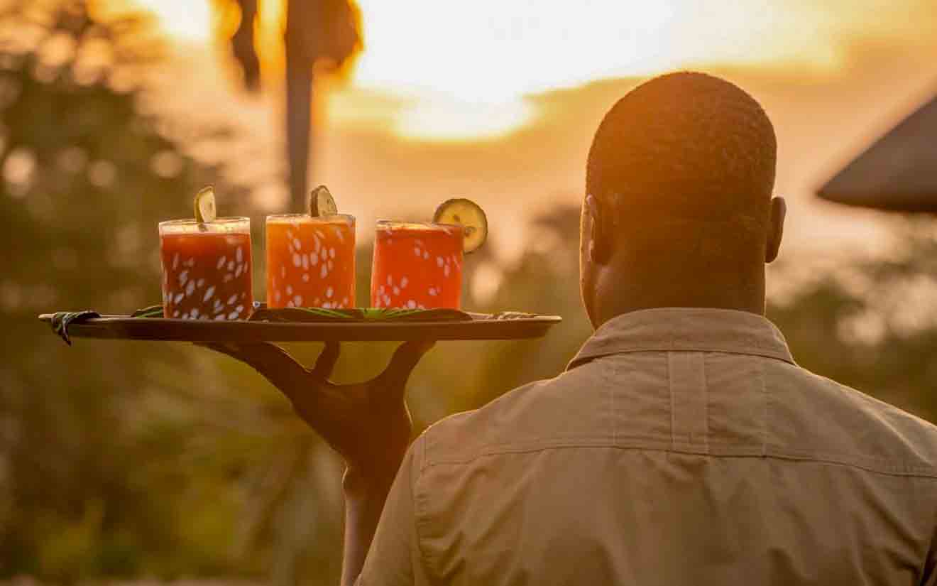 Tangi elephant camp treats