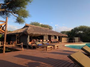 Tarangire Simba Lodge or similar