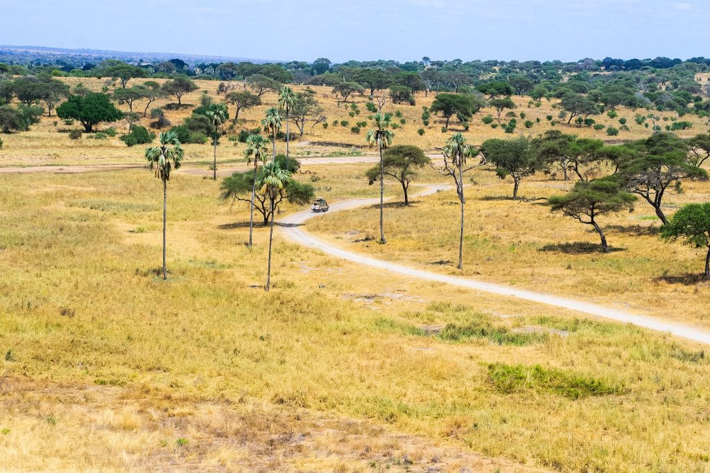 Mto wa Mbu and Tarangire National Park
