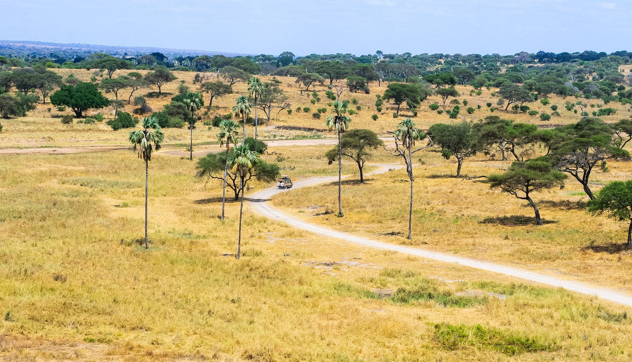 Arrival in Arusha – Transfer to Tarangire National Park
