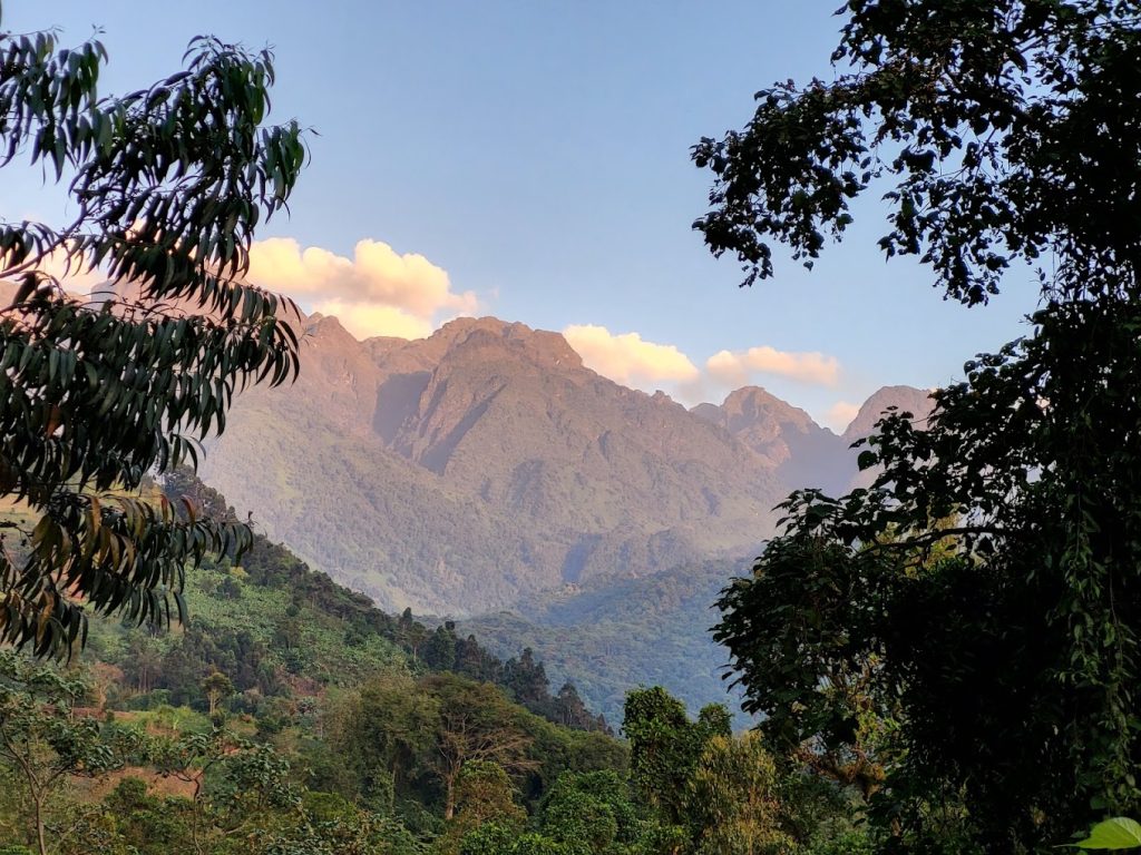  3-Day Rwenzori Mountains Trek – Nyakalengija to John Matte Camp