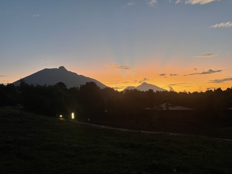 MOUNTAIN VIEW GORILLA LODGE
