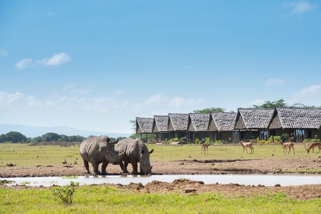 Amboseli to Ol Pejeta Conservancy, Wildlife And Rhino Conservation