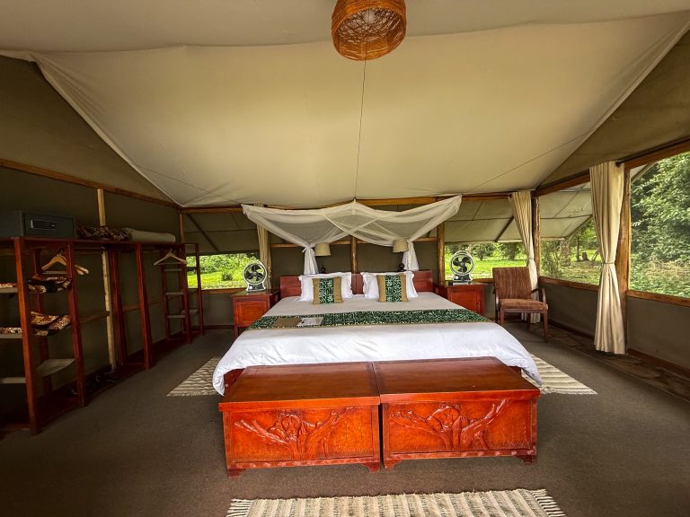 Ishasha Wilderness Camp