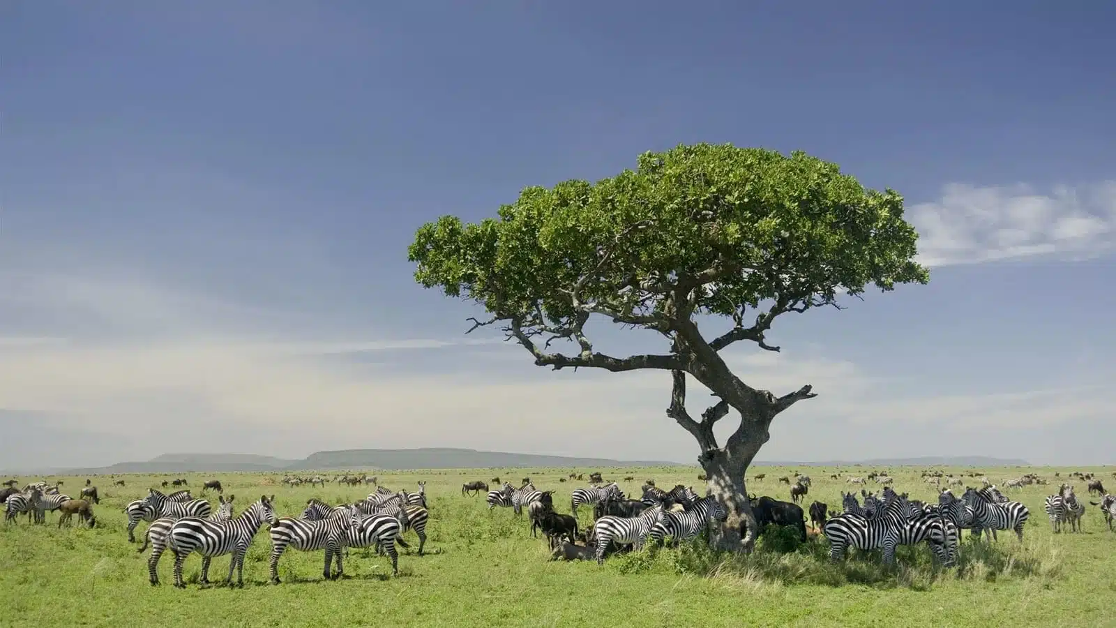 Lake Natron to Northern Serengeti