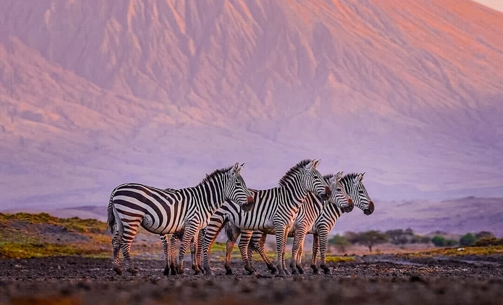 Exploring Lake Natron