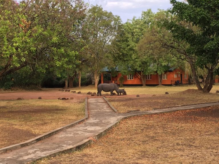 ziwa guest house