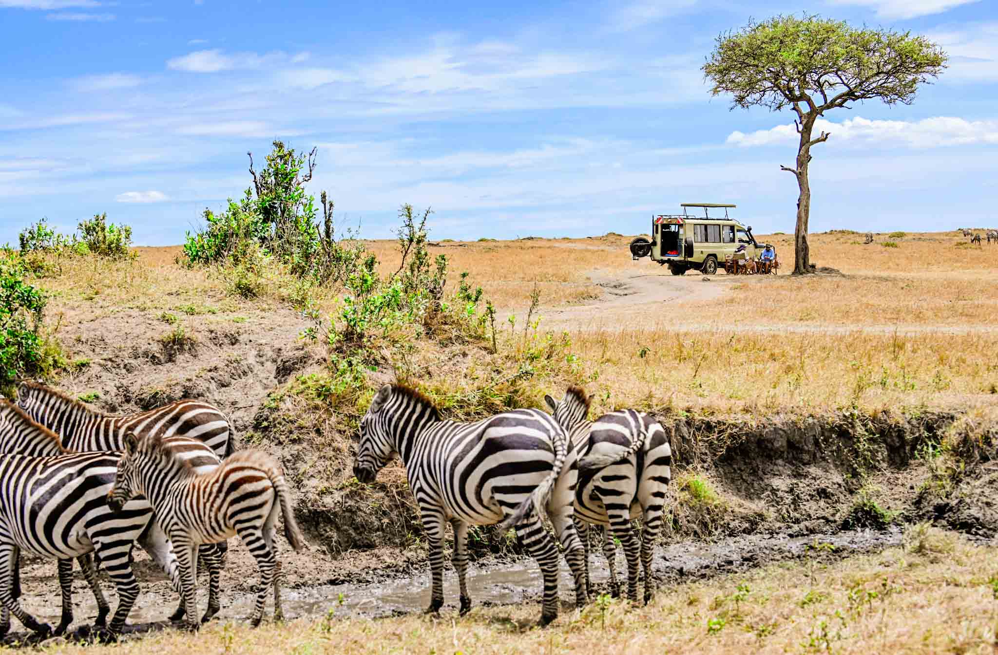 kenya private safari