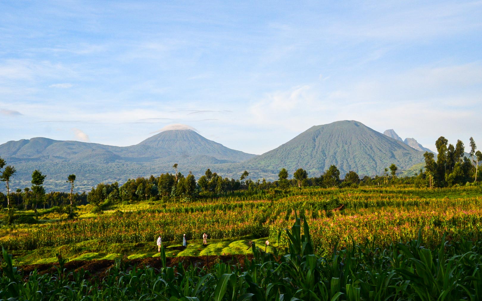 hiking the volcanoes of Rwanda